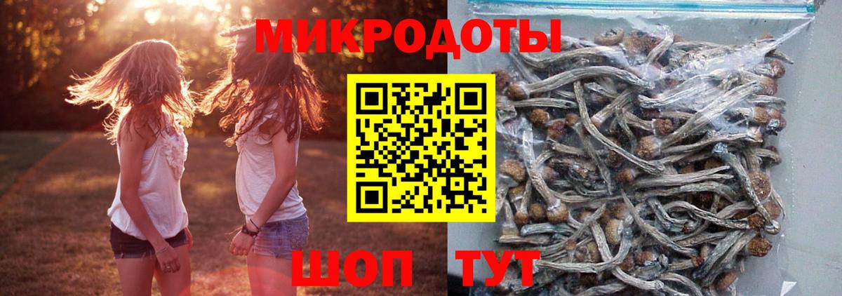 Псилоцибиновые грибы прущие грибы  Вход с VPN  Наро-Фоминск 
