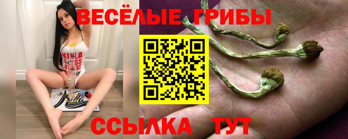 Галлюциногенные грибы MAGIC MUSHROOMS Наро-Фоминск